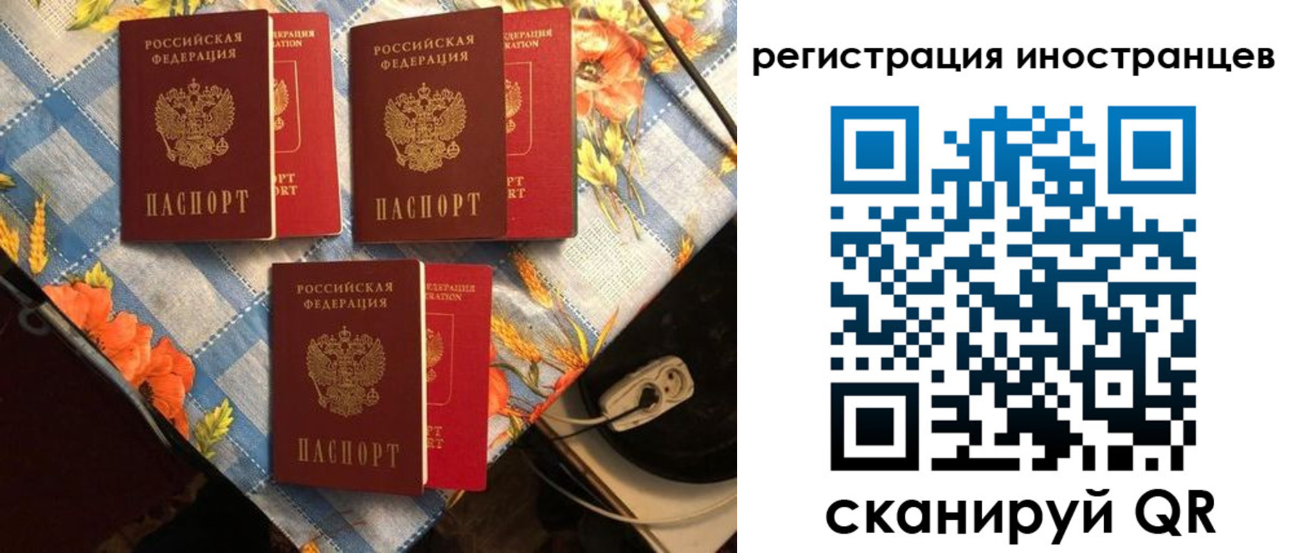 прописка поиск в Иркутской области